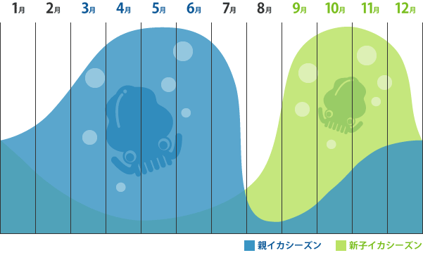 アオリイカ釣りシーズン早見表